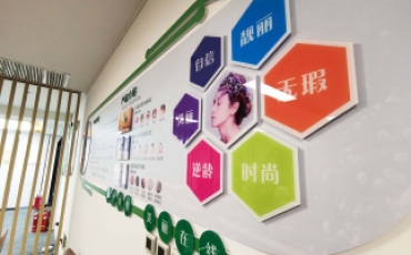 姬梵尚美生物科技公司办公室文化墙制作落地